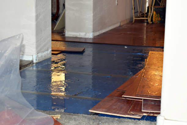 Professional Emergency Water Damage Restoration technician working in Rockford, OH