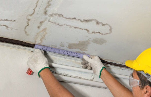 Reliable Emergency Water Damage Restoration contractor in Rockford, OH by Water Damage Irwin